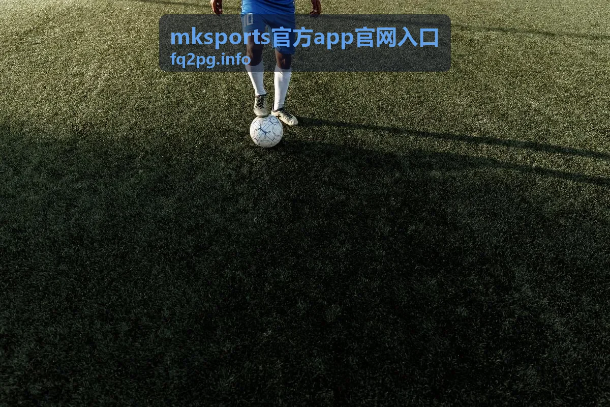 mksports官方app官网入口 登录信息核对示意