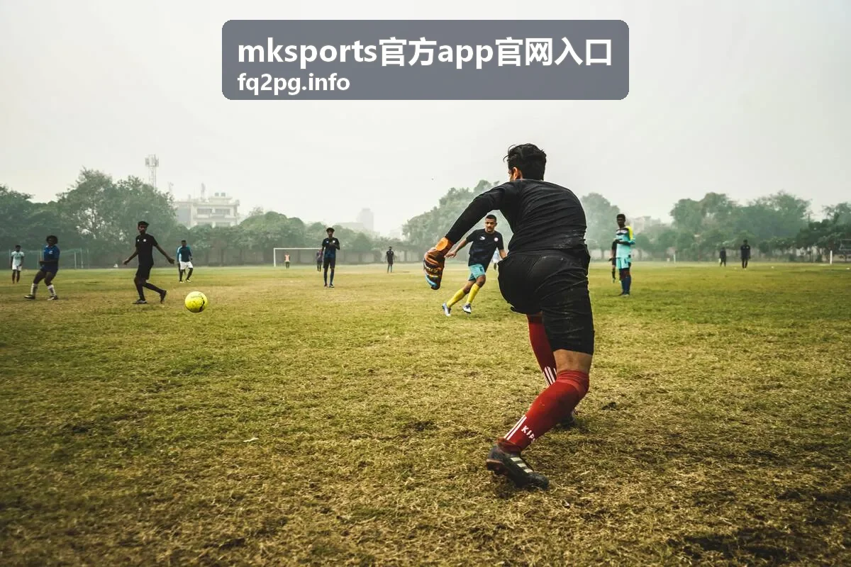 mksports官方app官网入口 安装包获取与完整性校验