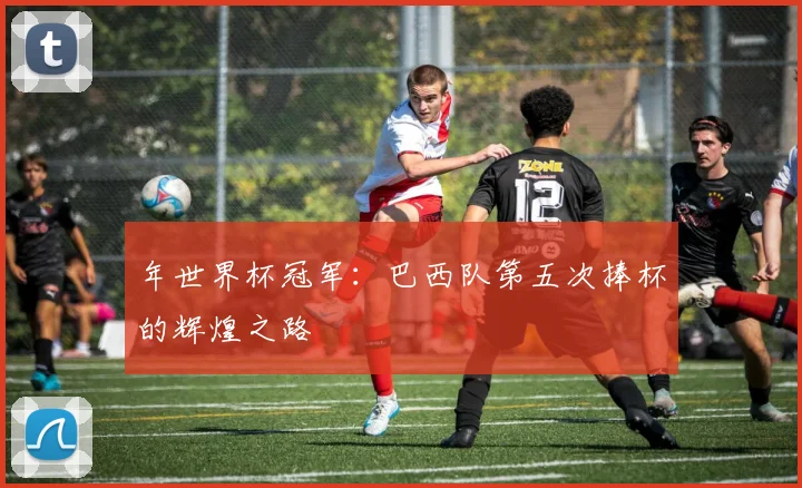 年世界杯冠军：巴西队第五次捧杯的辉煌之路