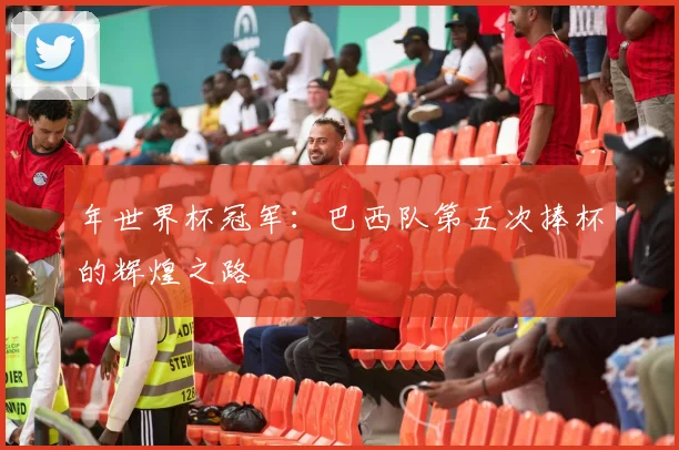 年世界杯冠军：巴西队第五次捧杯的辉煌之路