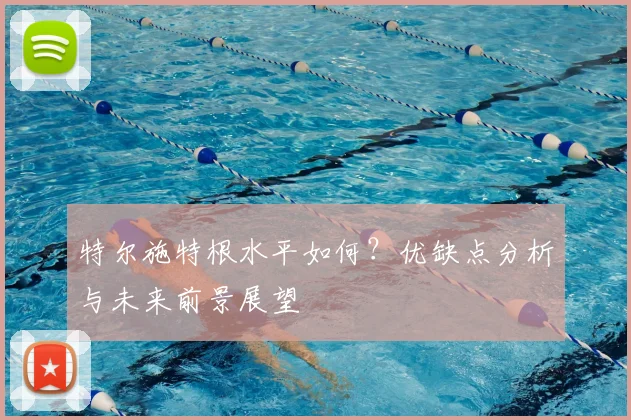 特尔施特根水平如何？优缺点分析与未来前景展望