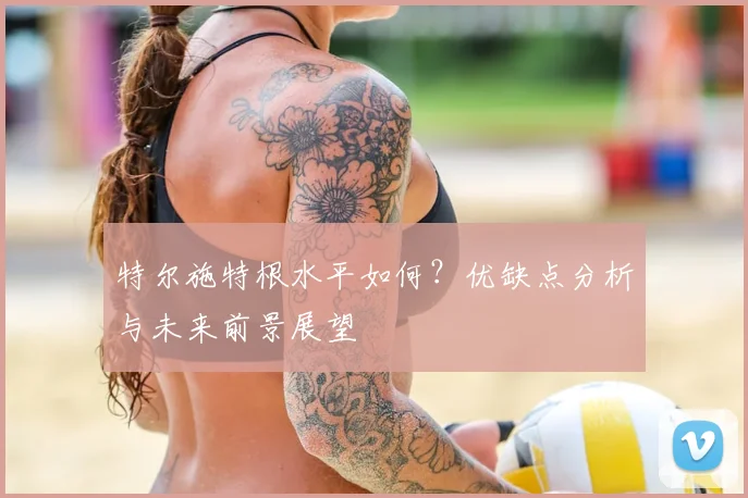 特尔施特根水平如何？优缺点分析与未来前景展望