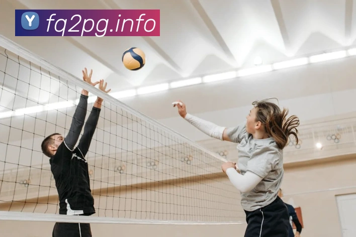 ky体育发展历程